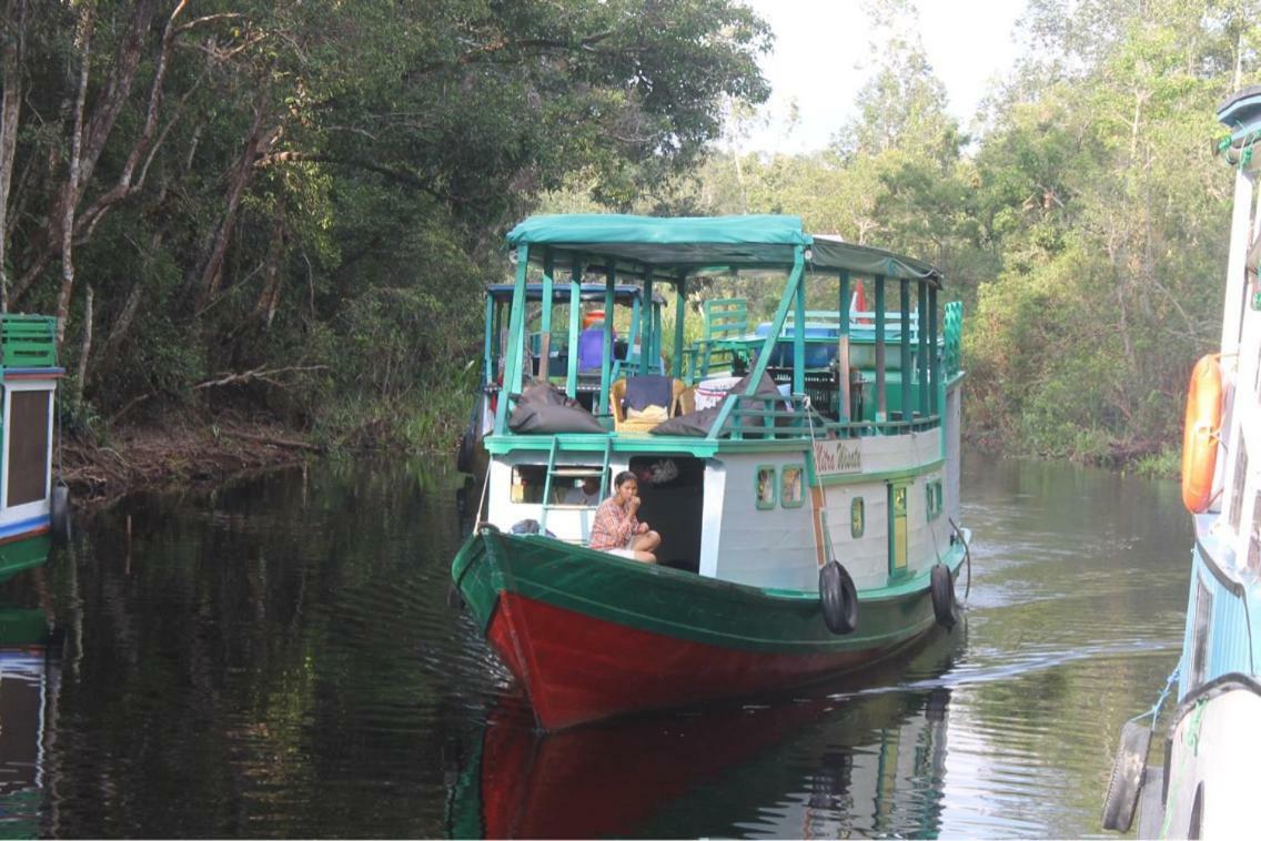 Orangutan Shaka Houseboat With Cabin Pangkalan Bun Luaran gambar