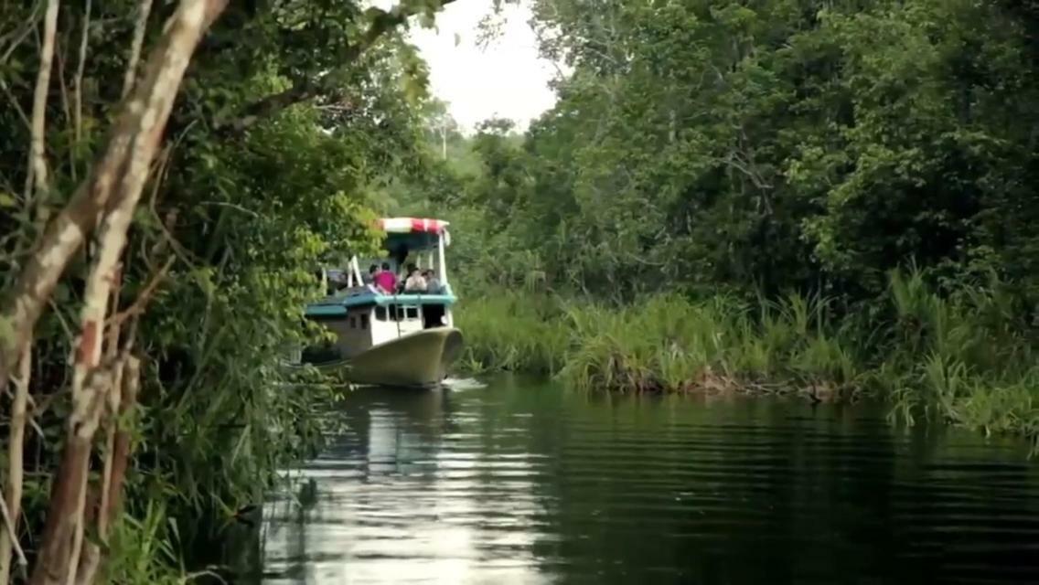 Orangutan Shaka Houseboat With Cabin Pangkalan Bun Luaran gambar