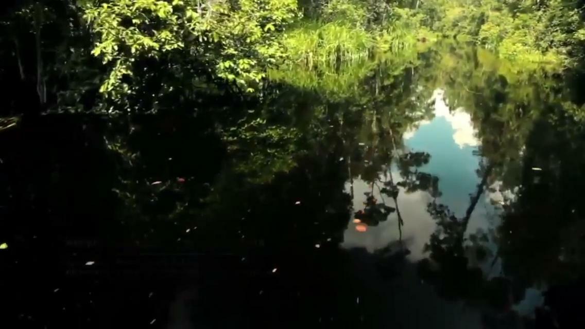 Orangutan Shaka Houseboat With Cabin Pangkalan Bun Luaran gambar