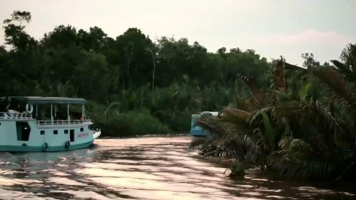 Orangutan Shaka Houseboat With Cabin Pangkalan Bun Luaran gambar