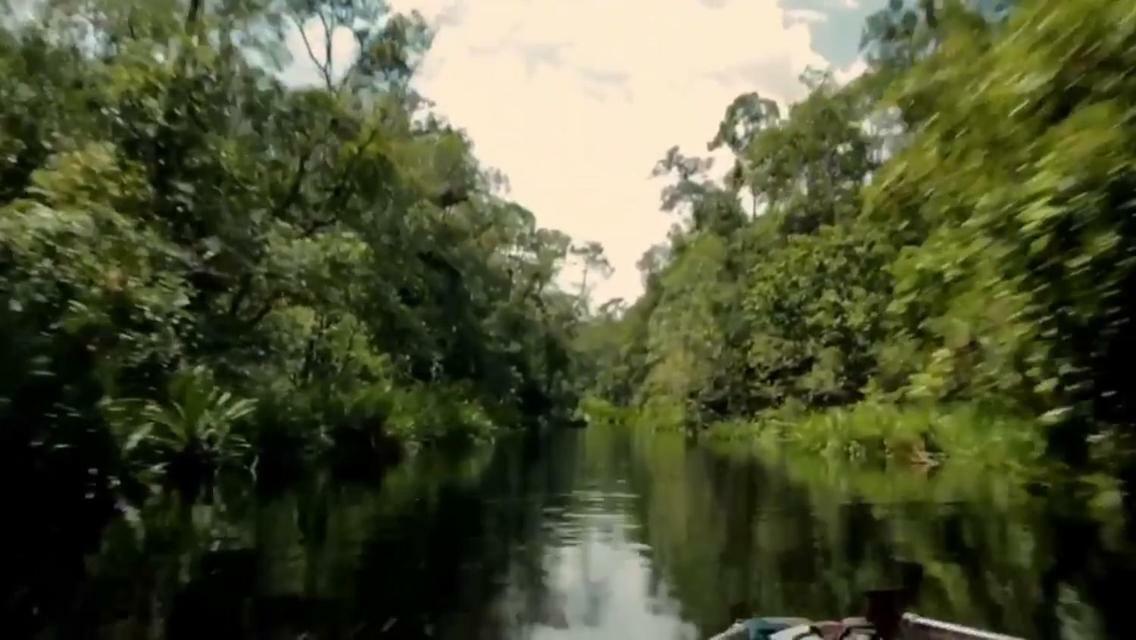 Orangutan Shaka Houseboat With Cabin Pangkalan Bun Luaran gambar