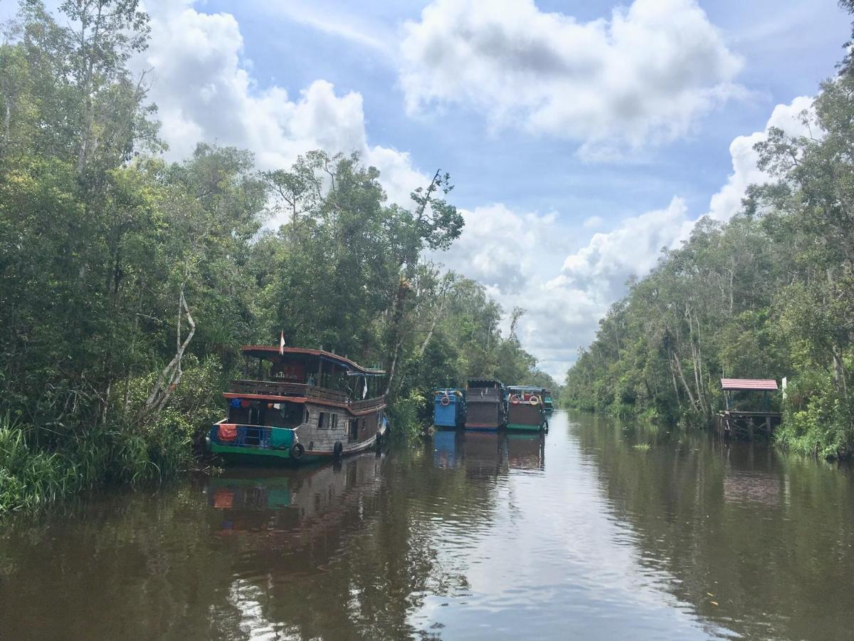 Orangutan Shaka Houseboat With Cabin Pangkalan Bun Luaran gambar